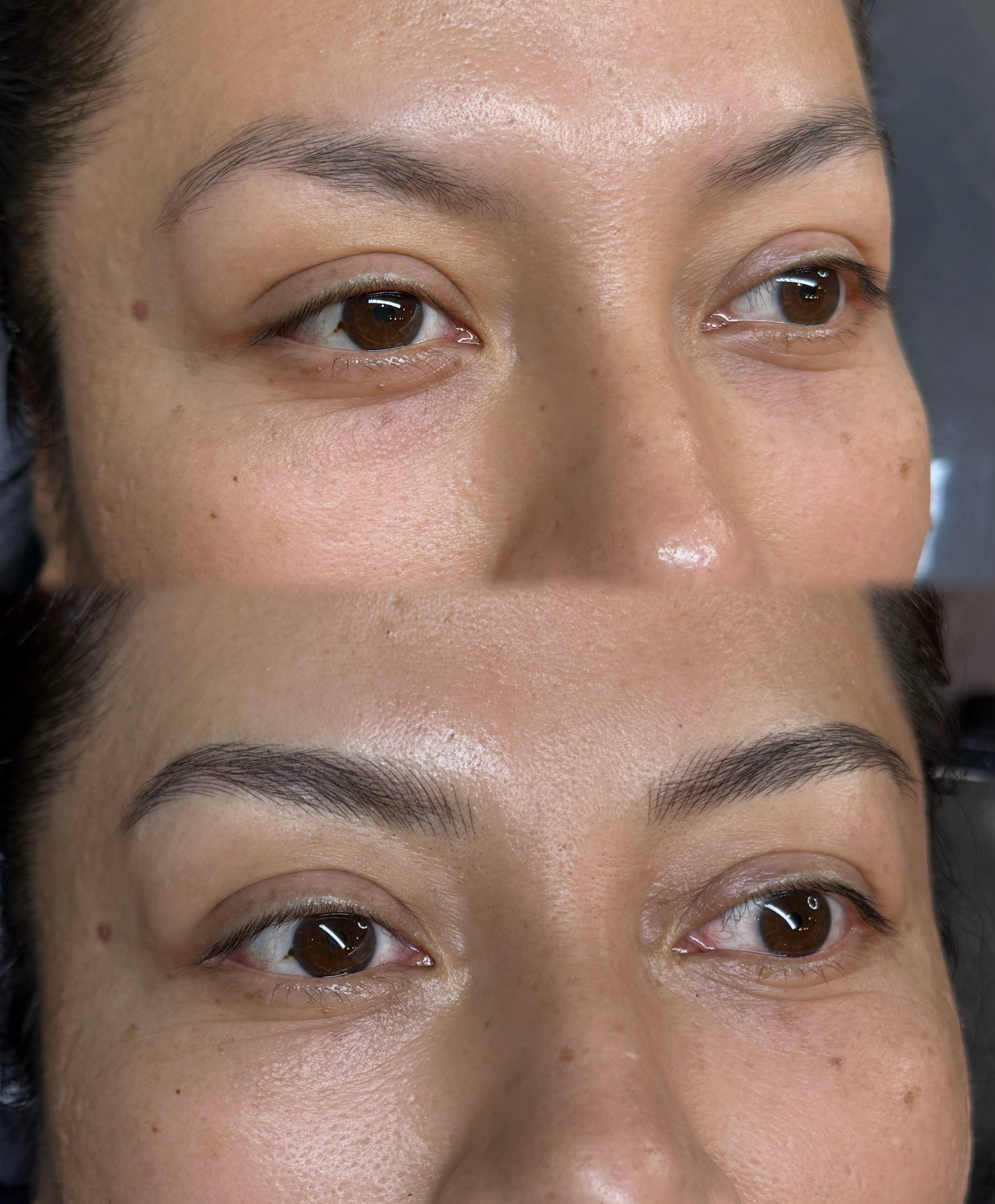 Fall Brow Special 🍂