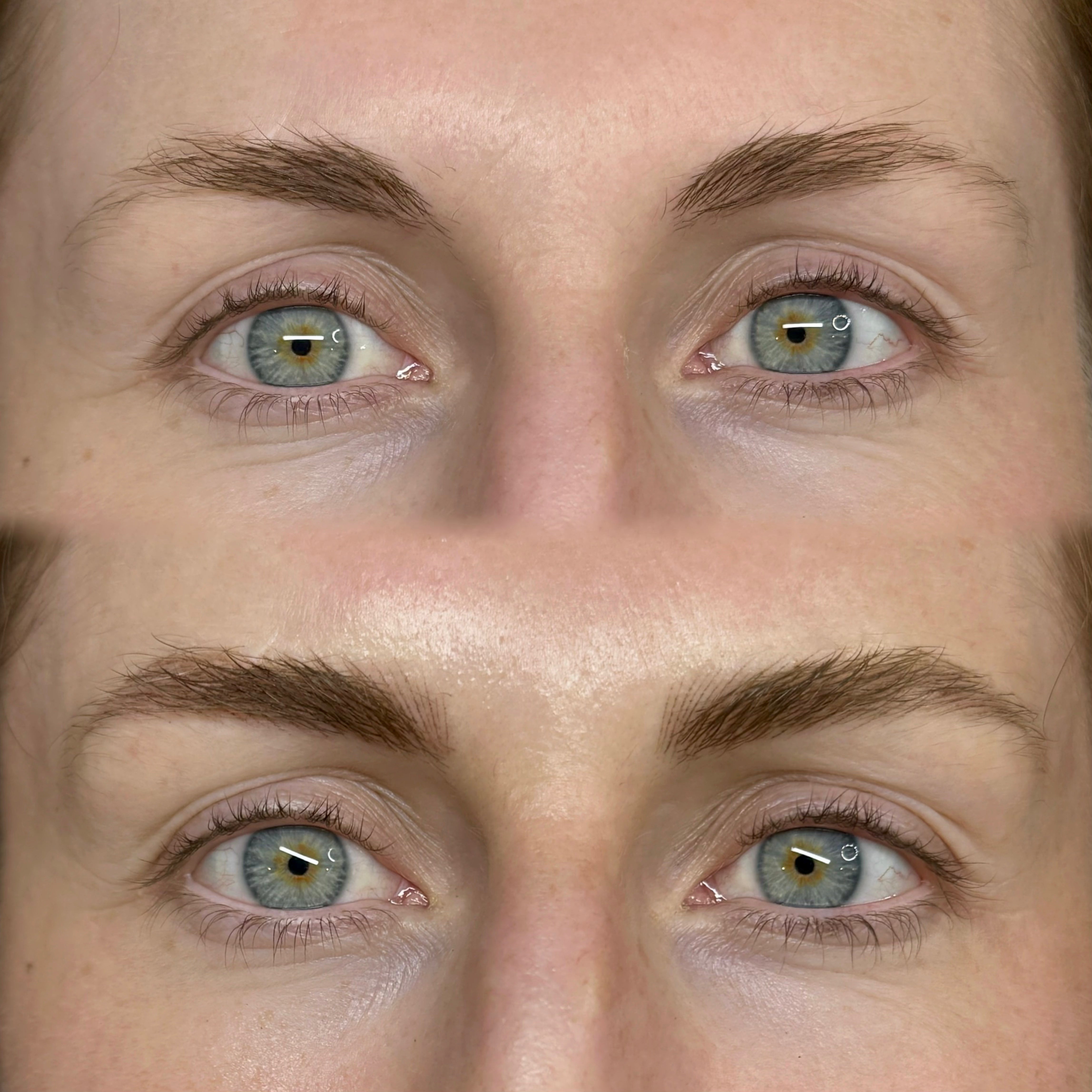 Fall Brow Special 🍂
